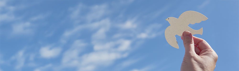 太陽光パネルの写真